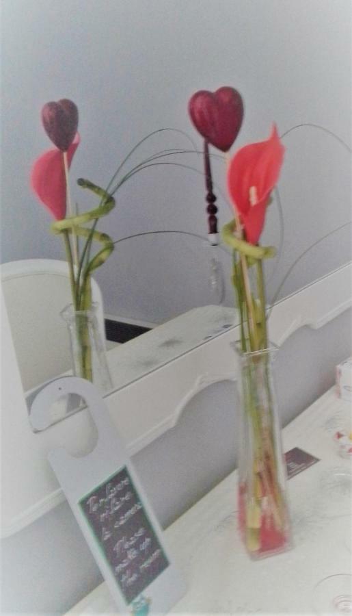 אלבניה B&B Elisir מראה חיצוני תמונה
